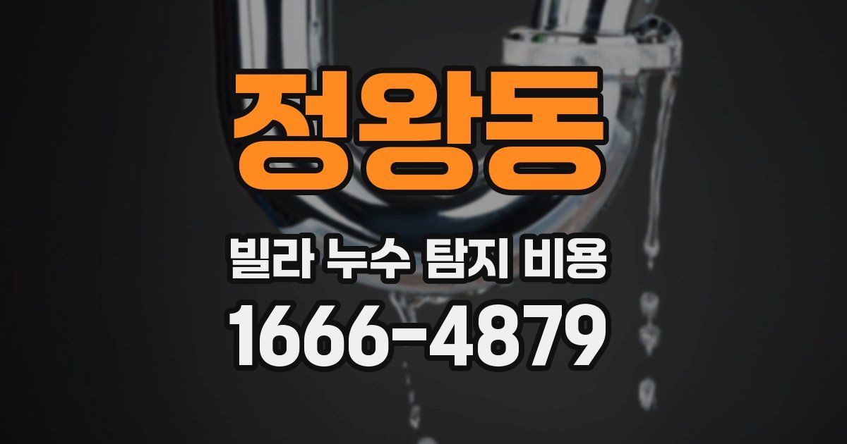 정왕동 빌라 누수 탐지 비용