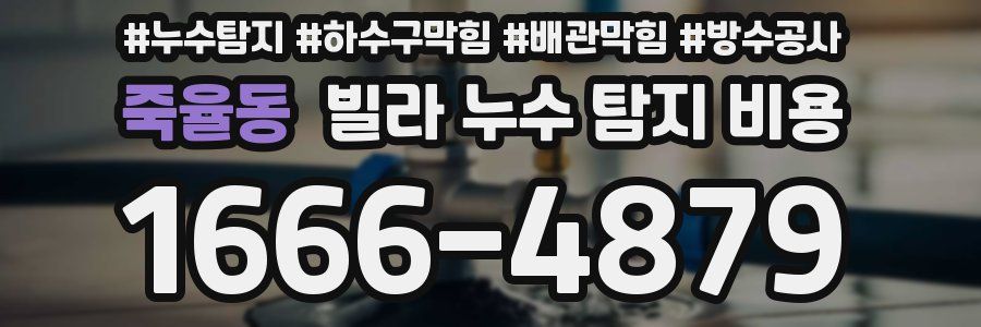 죽율동 빌라 누수 탐지 비용