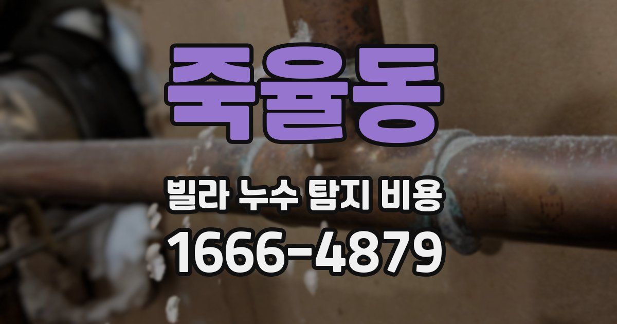 죽율동 빌라 누수 탐지 비용