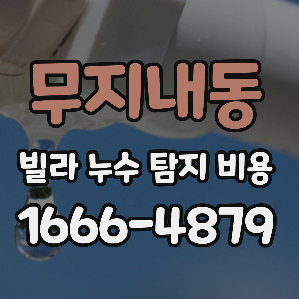 무지내동 빌라 누수 탐지 비용