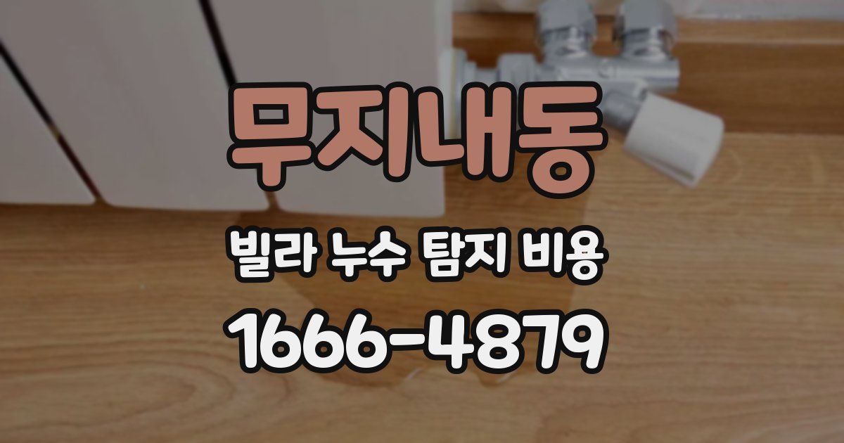 무지내동 빌라 누수 탐지 비용