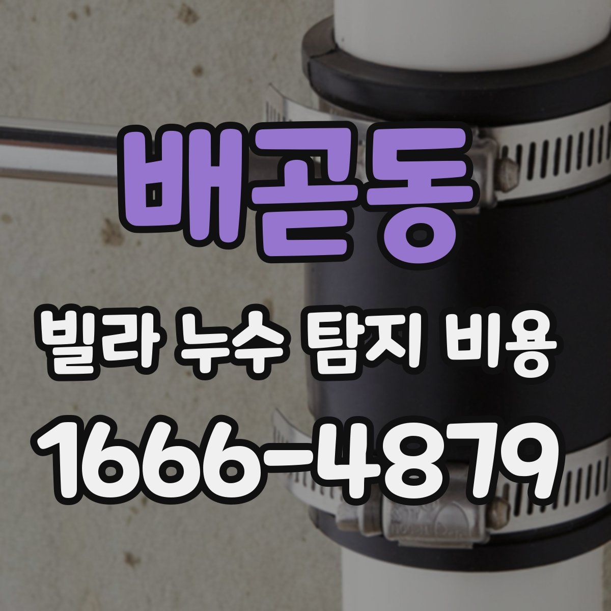 배곧동 빌라 누수 탐지 비용