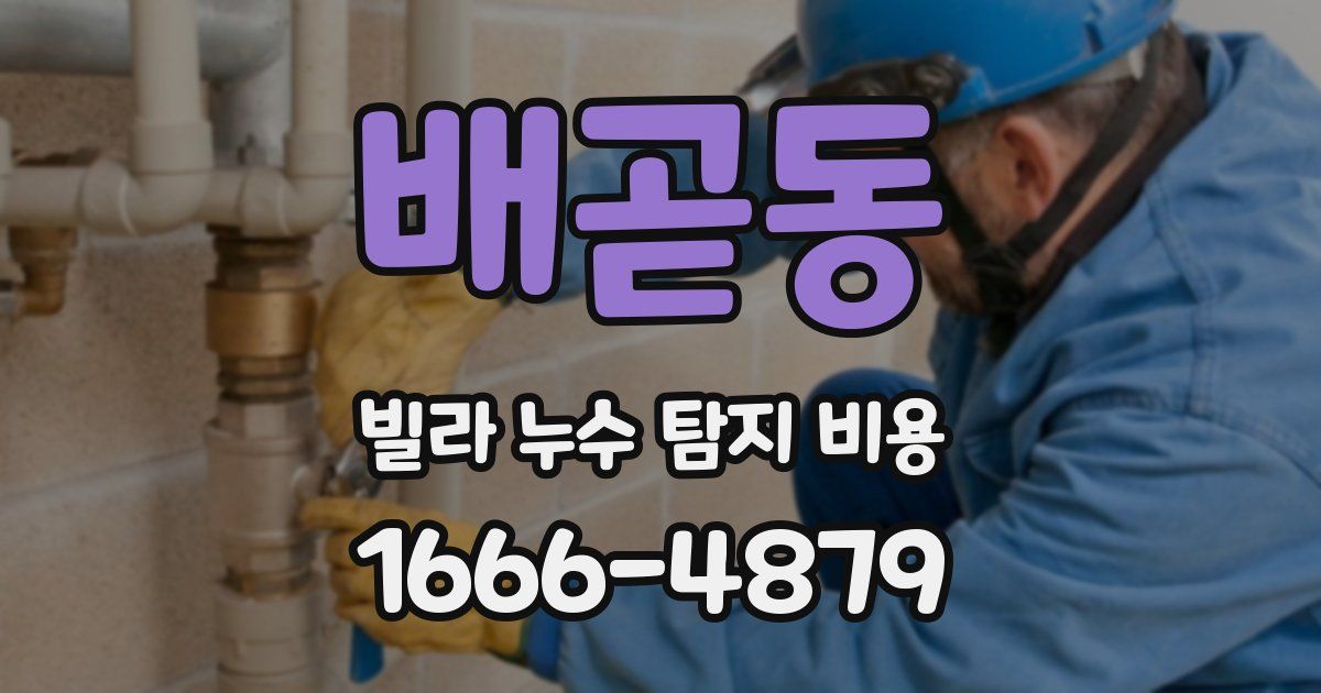 배곧동 빌라 누수 탐지 비용