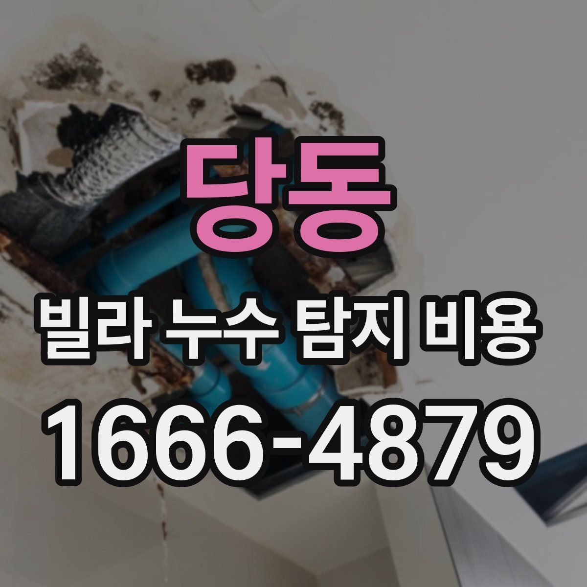 당동 빌라 누수 탐지 비용