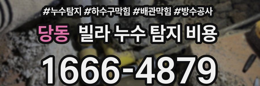당동 빌라 누수 탐지 비용