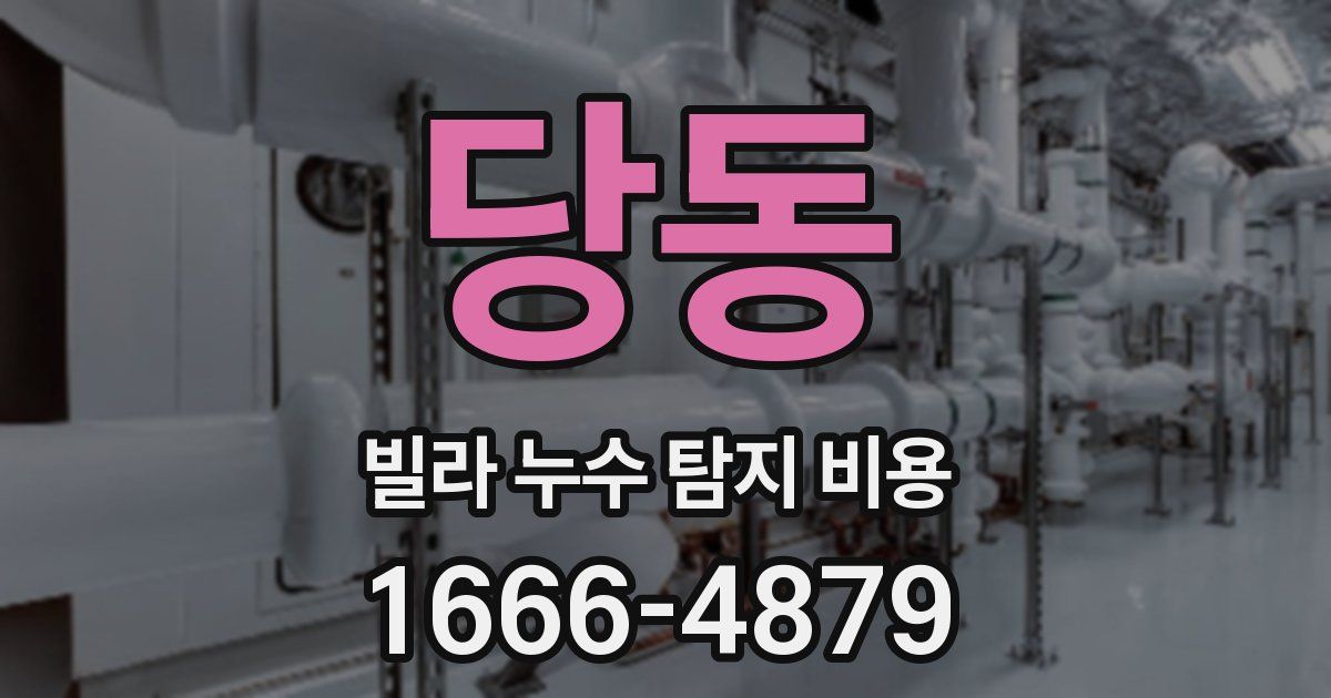 당동 빌라 누수 탐지 비용