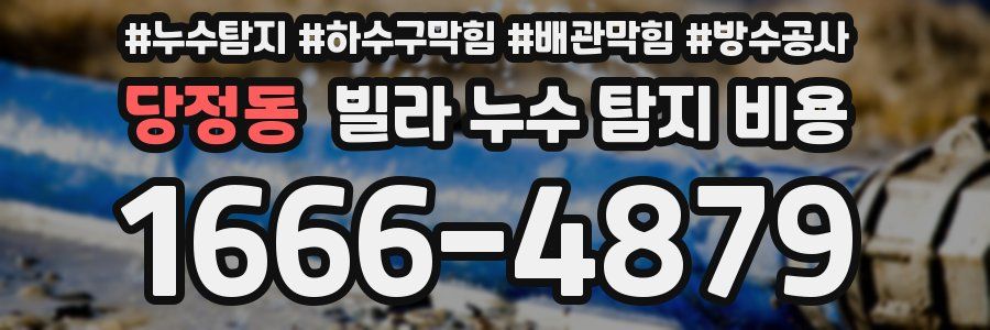 당정동 빌라 누수 탐지 비용