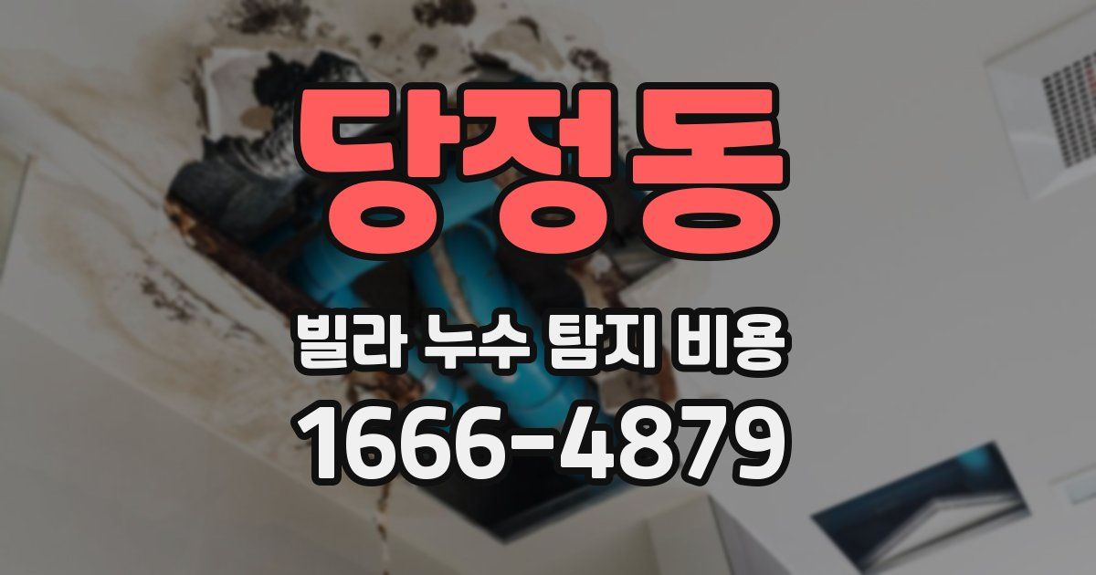 당정동 빌라 누수 탐지 비용