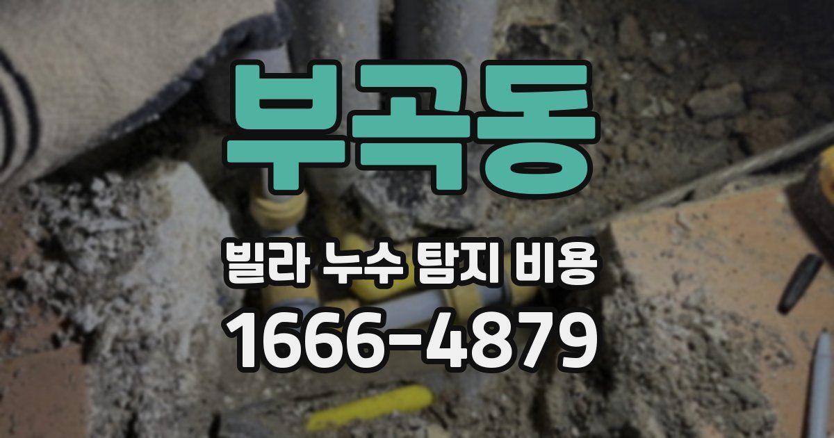 부곡동 빌라 누수 탐지 비용