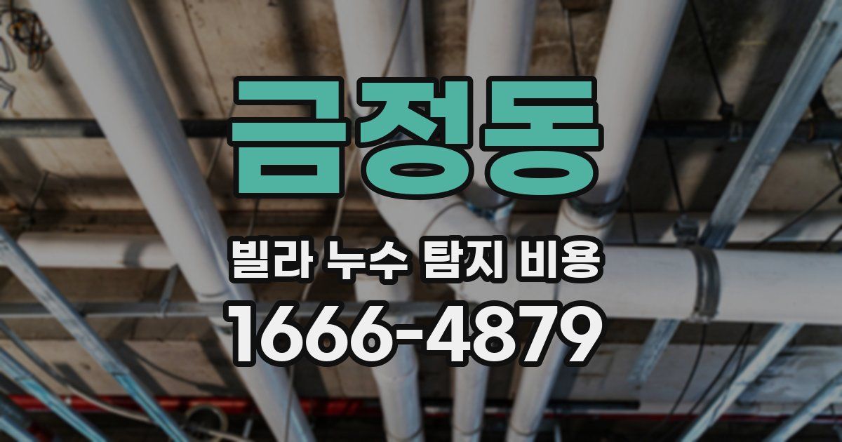 금정동 빌라 누수 탐지 비용