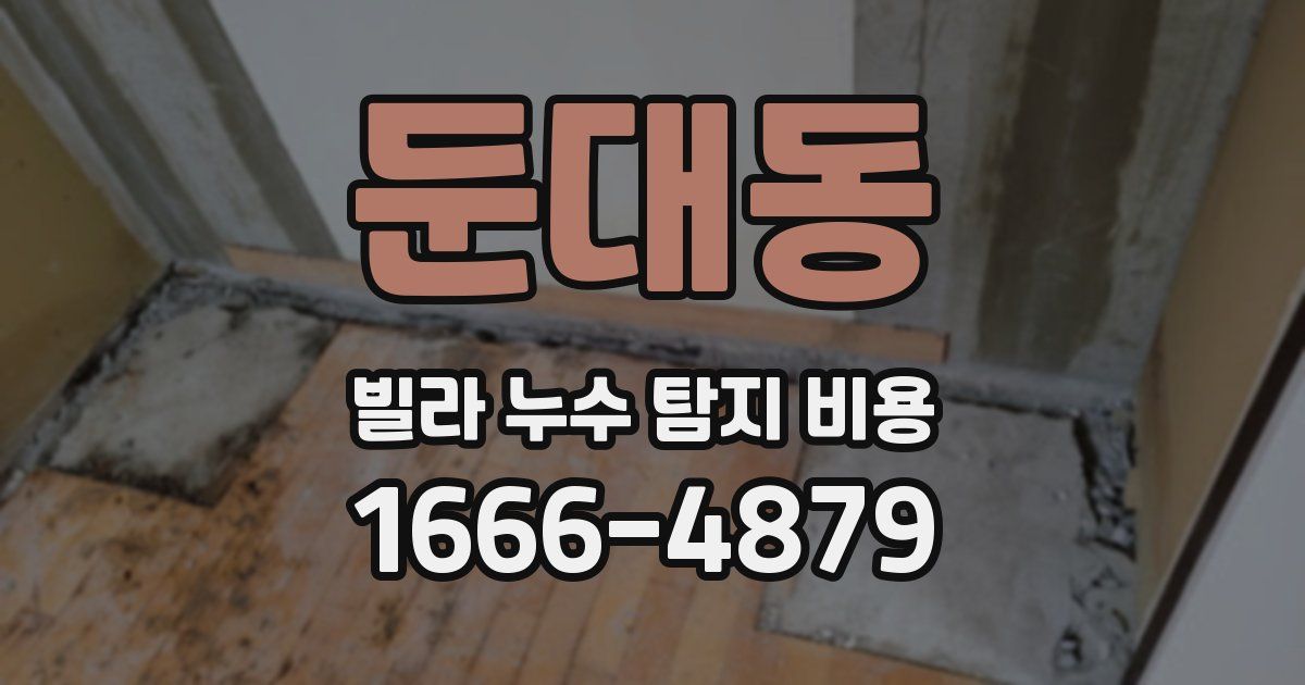 둔대동 빌라 누수 탐지 비용