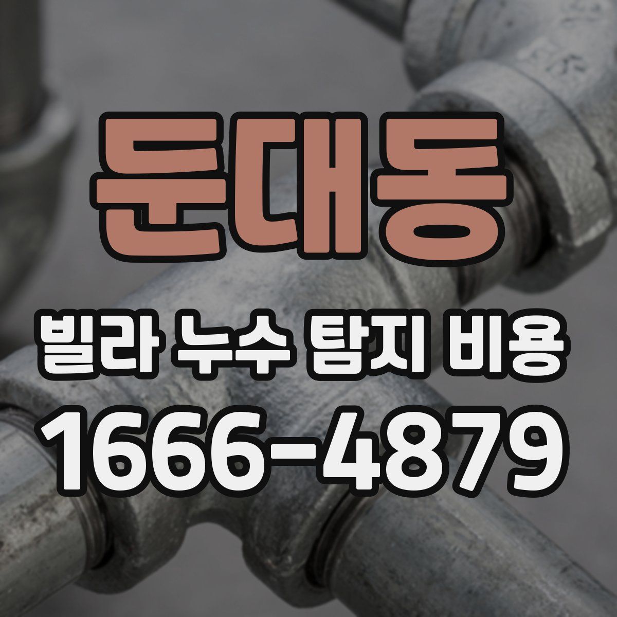 둔대동 빌라 누수 탐지 비용