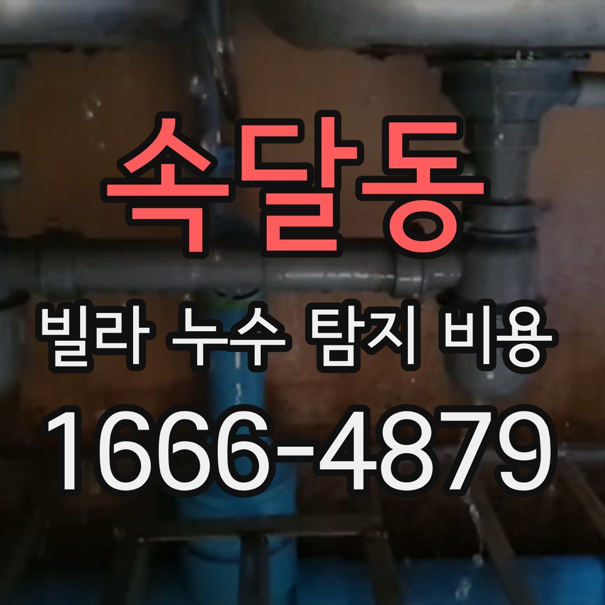 속달동 빌라 누수 탐지 비용