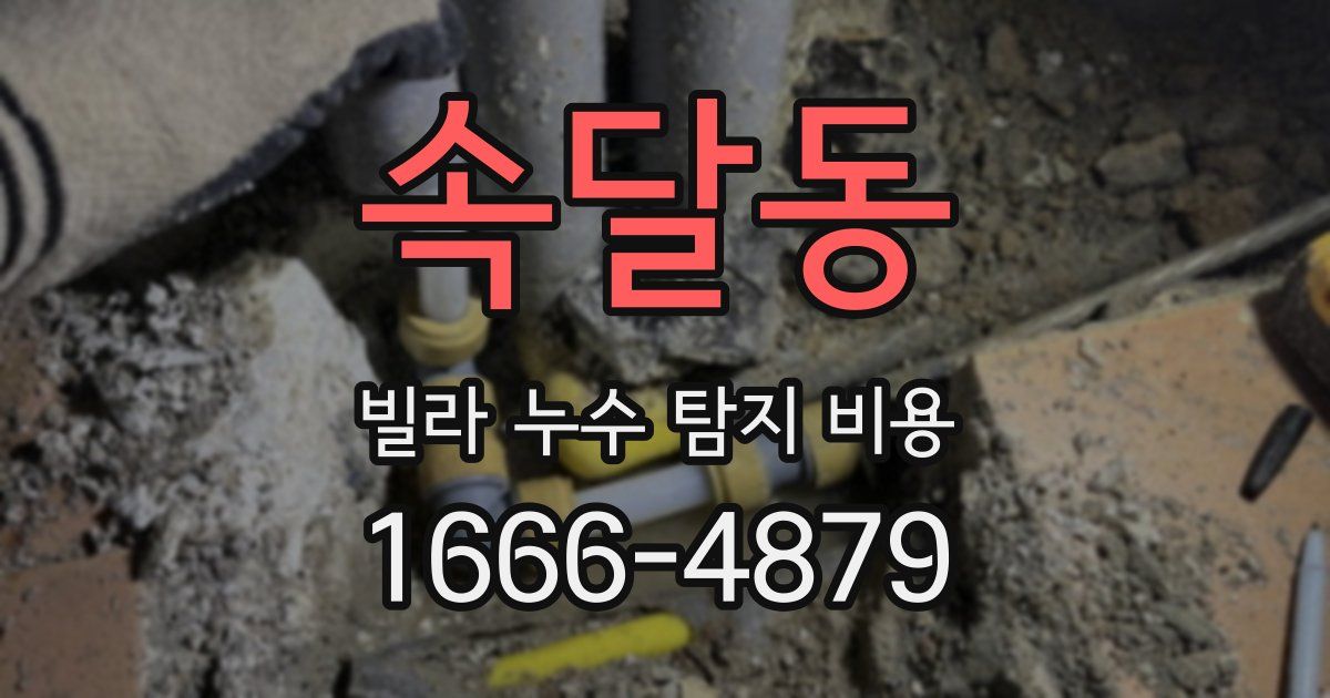 속달동 빌라 누수 탐지 비용