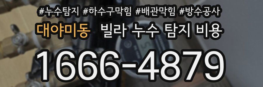 대야미동 빌라 누수 탐지 비용