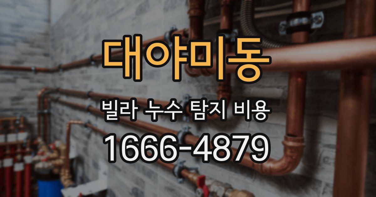 대야미동 빌라 누수 탐지 비용