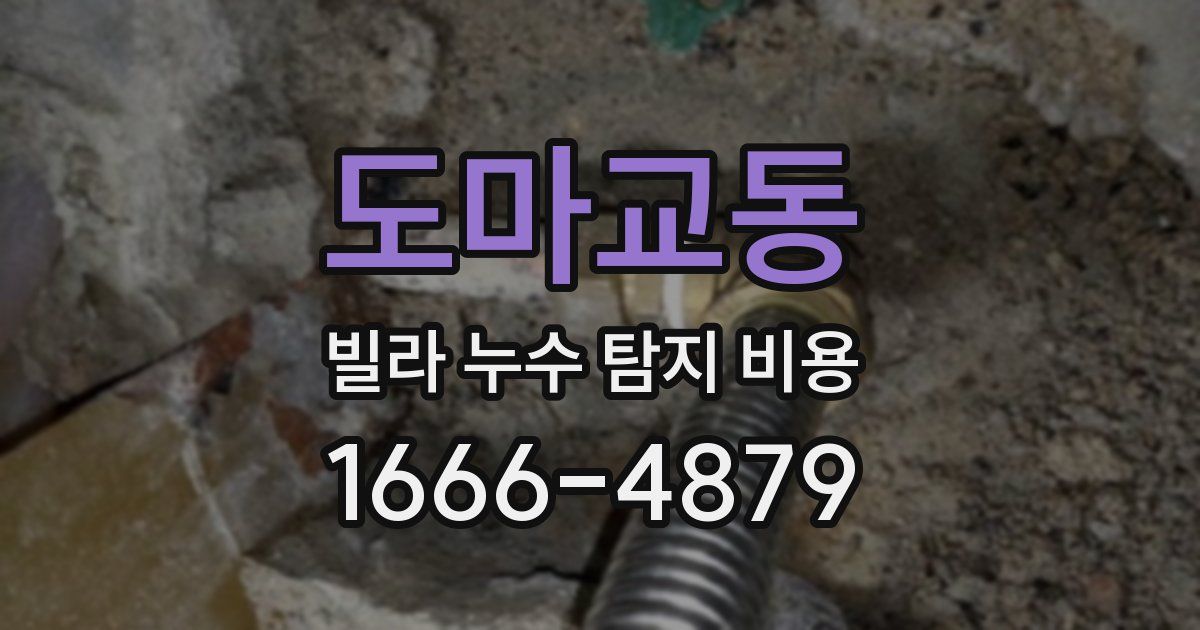 도마교동 빌라 누수 탐지 비용