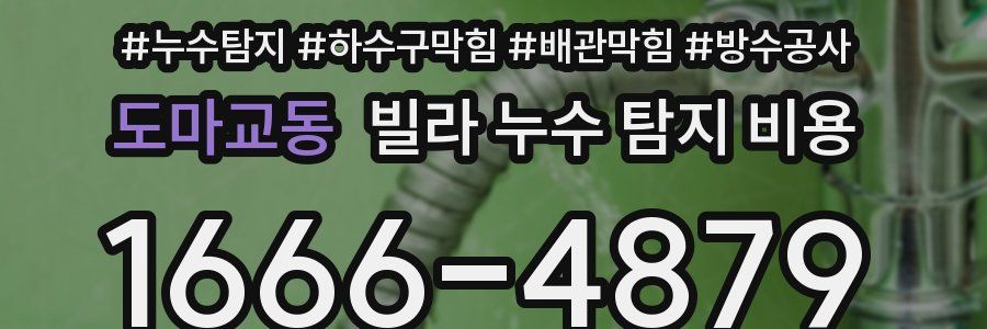 도마교동 빌라 누수 탐지 비용