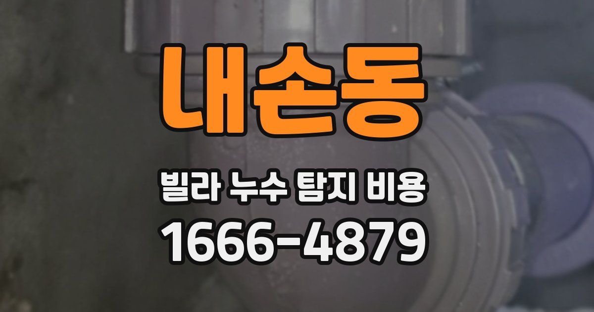 내손동 빌라 누수 탐지 비용