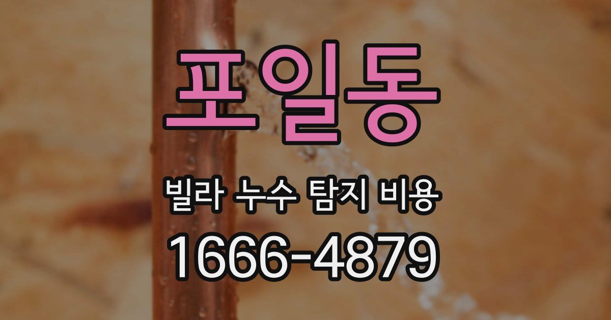 포일동 빌라 누수 탐지 비용