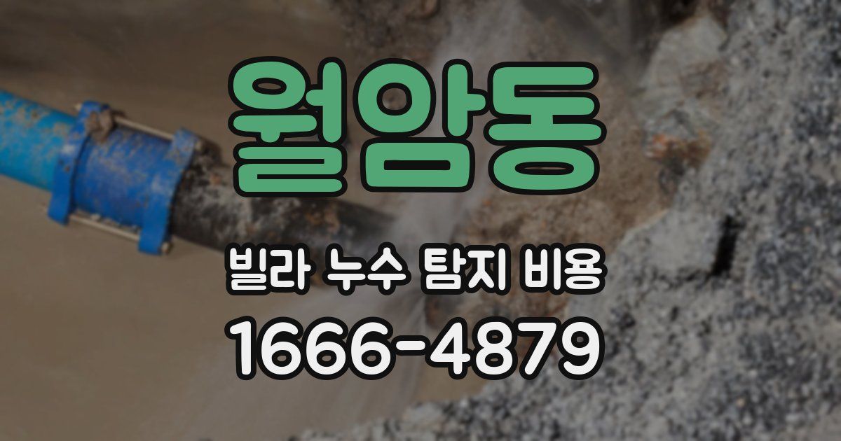 월암동 빌라 누수 탐지 비용