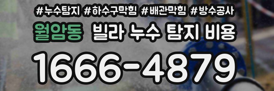 월암동 빌라 누수 탐지 비용