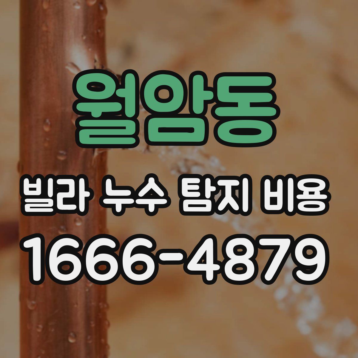 월암동 빌라 누수 탐지 비용
