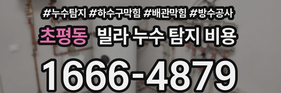 초평동 빌라 누수 탐지 비용