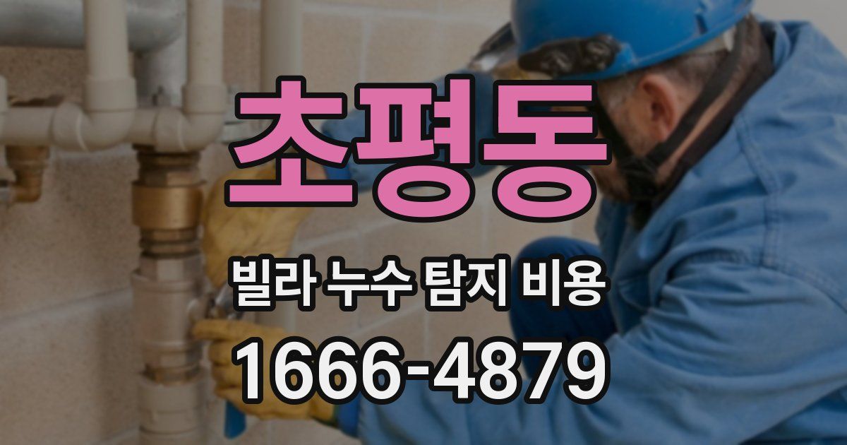 초평동 빌라 누수 탐지 비용