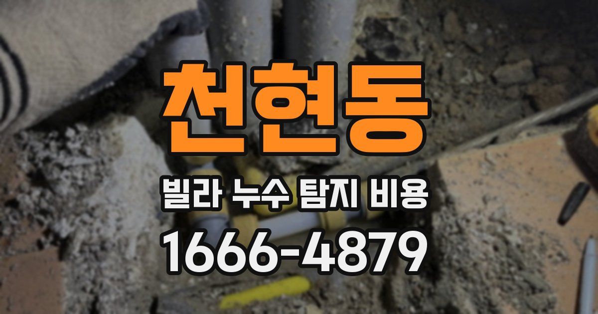 천현동 빌라 누수 탐지 비용
