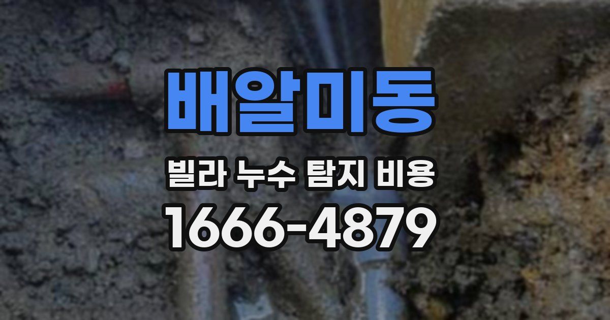 배알미동 빌라 누수 탐지 비용