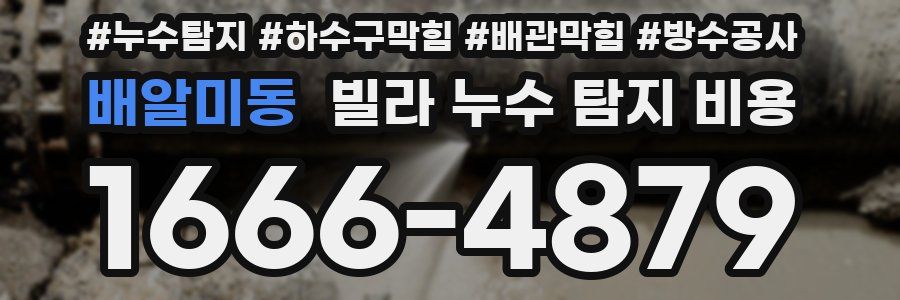 배알미동 빌라 누수 탐지 비용