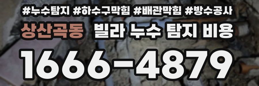 상산곡동 빌라 누수 탐지 비용
