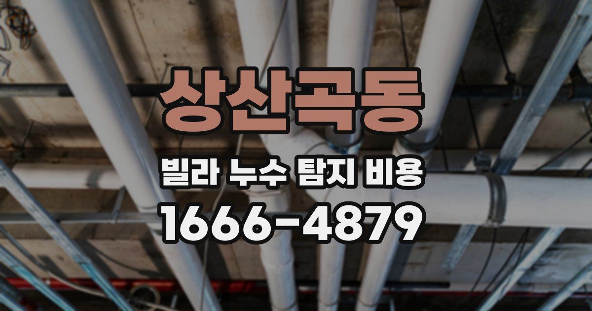 상산곡동 빌라 누수 탐지 비용