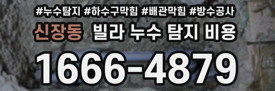 신장동 빌라 누수 탐지 비용