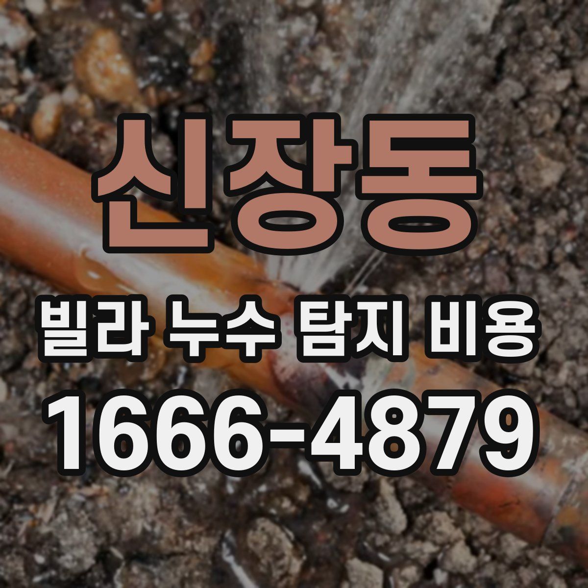 신장동 빌라 누수 탐지 비용