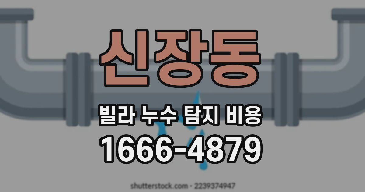 신장동 빌라 누수 탐지 비용