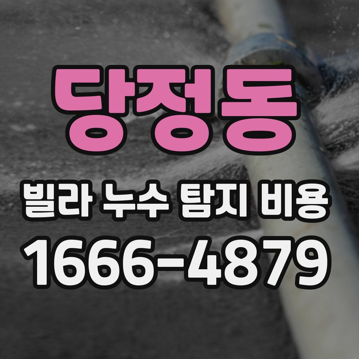 당정동 빌라 누수 탐지 비용