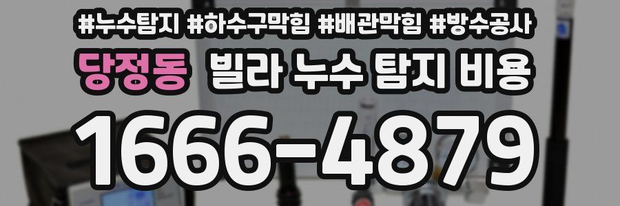 당정동 빌라 누수 탐지 비용