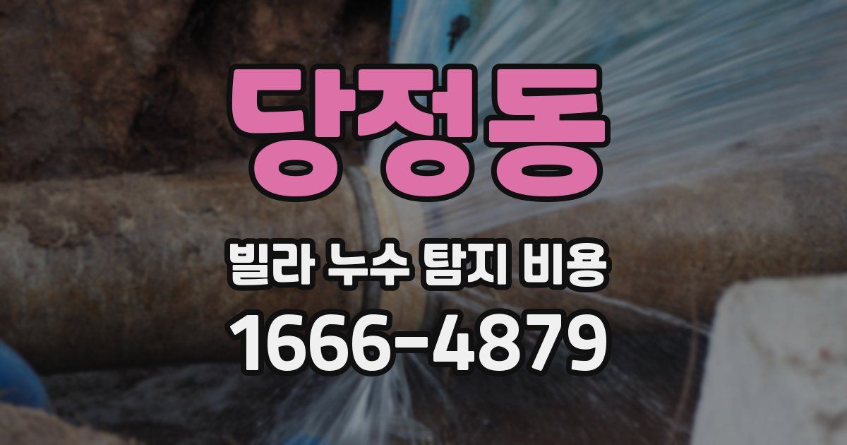 당정동 빌라 누수 탐지 비용