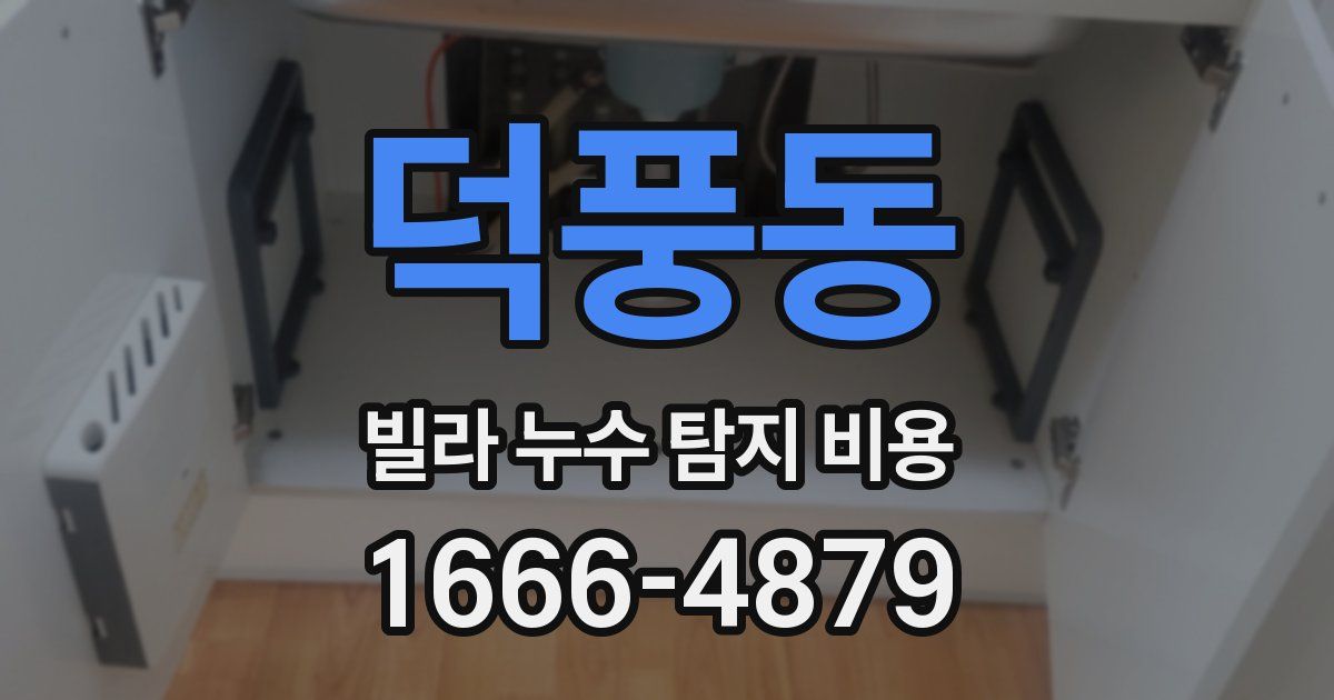 덕풍동 빌라 누수 탐지 비용