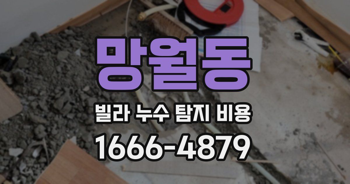 망월동 빌라 누수 탐지 비용