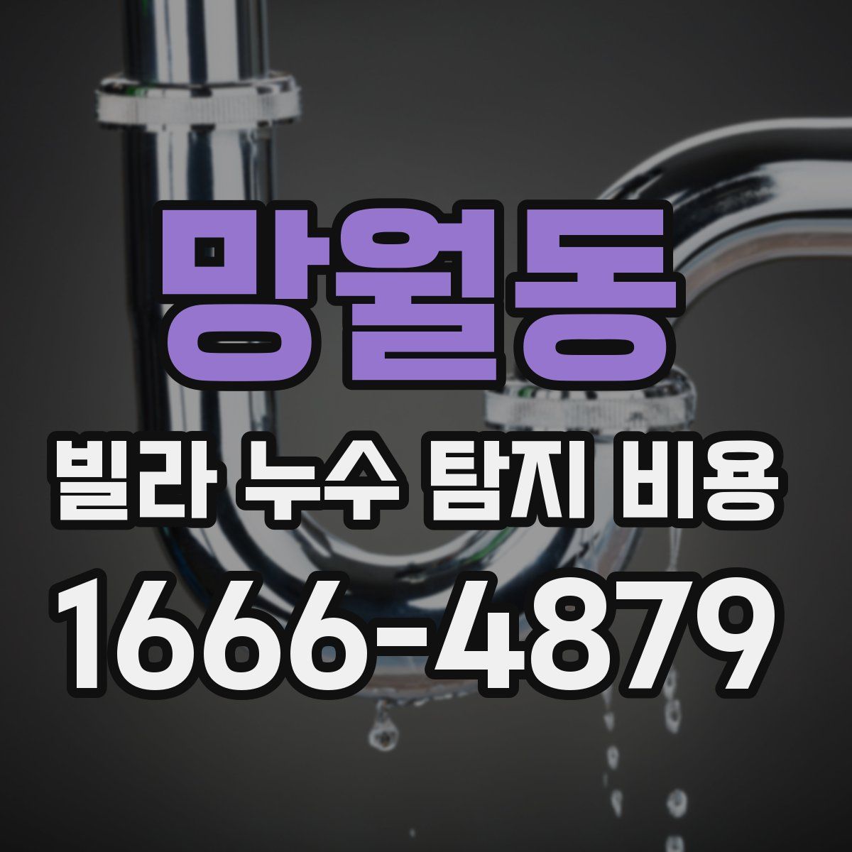 망월동 빌라 누수 탐지 비용