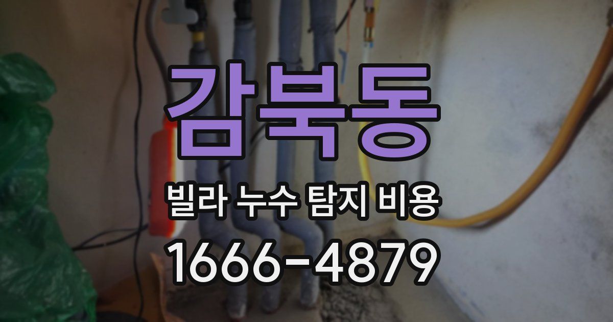 감북동 빌라 누수 탐지 비용