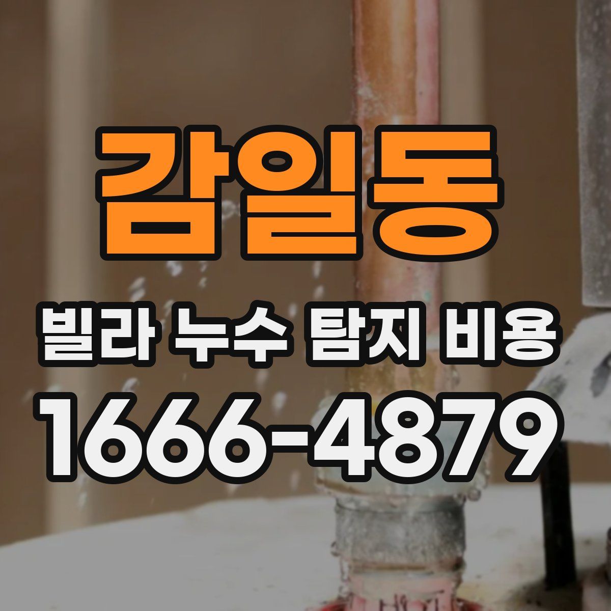 감일동 빌라 누수 탐지 비용