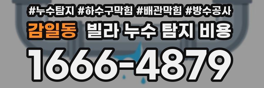 감일동 빌라 누수 탐지 비용