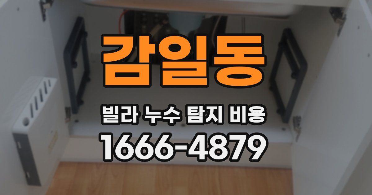 감일동 빌라 누수 탐지 비용