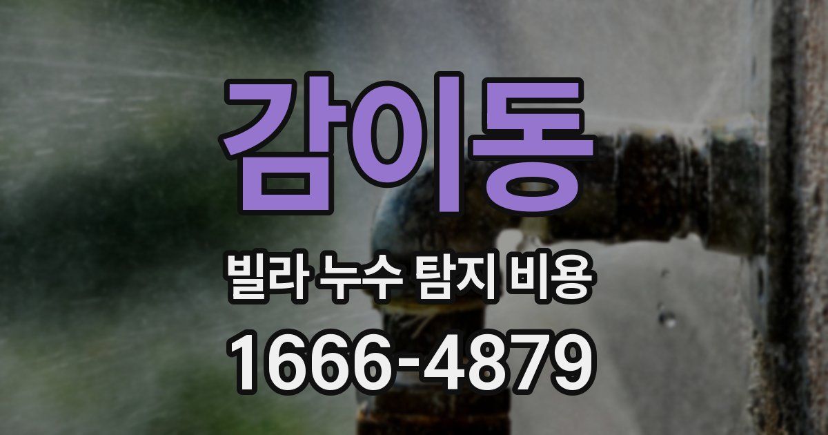 감이동 빌라 누수 탐지 비용