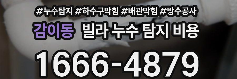 감이동 빌라 누수 탐지 비용