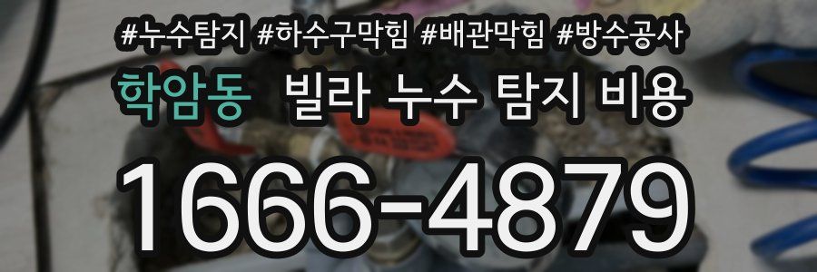 학암동 빌라 누수 탐지 비용